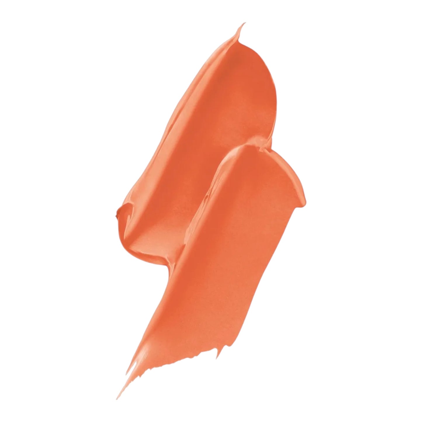 ROUGE DIOR Forever 231